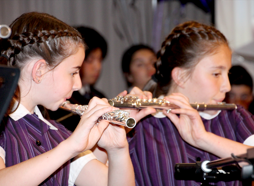 Music instruments