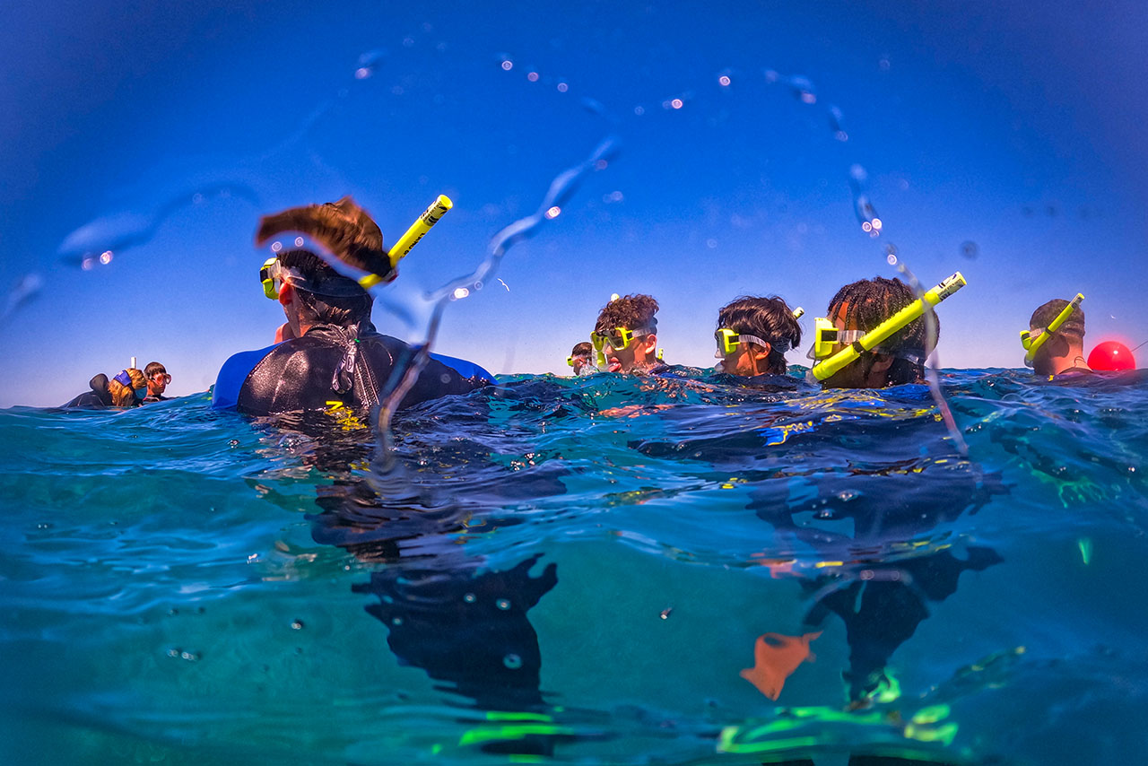 Web_Y9_Great Barrier Reef